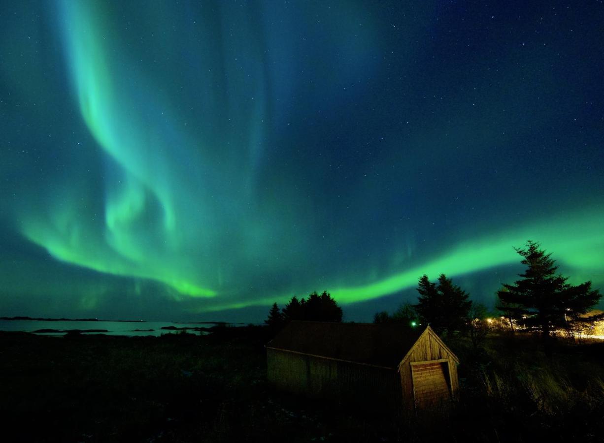 Fishermans Village Lofoten Alstad  Exteriör bild